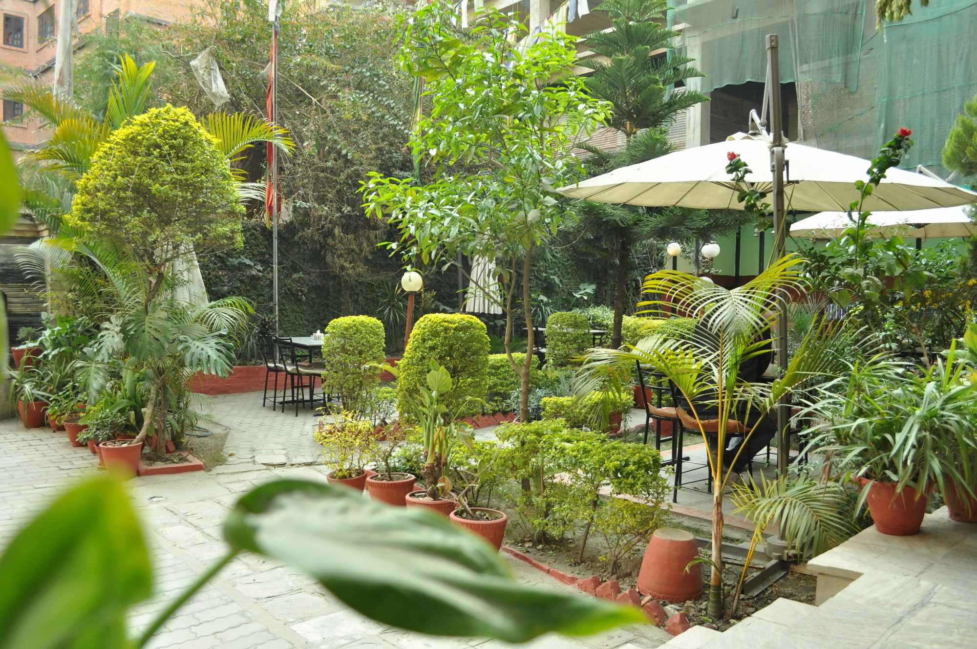 Hotel Florid Kathmandu Exteriör bild