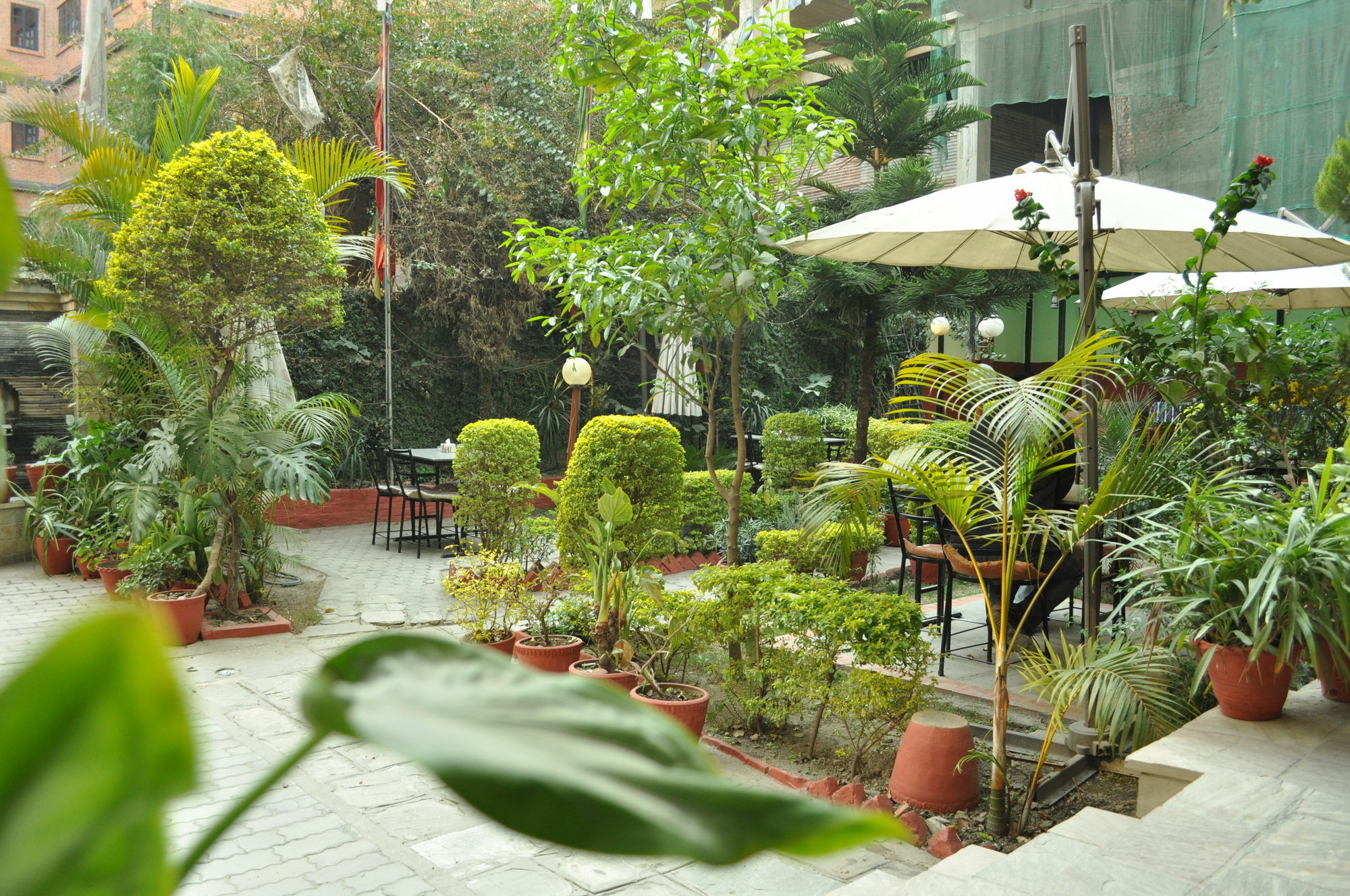 Hotel Florid Kathmandu Exteriör bild